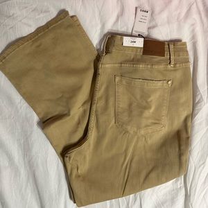 Judy Blue Khaki Mid Rise Slim Bootcut Leg Jeans